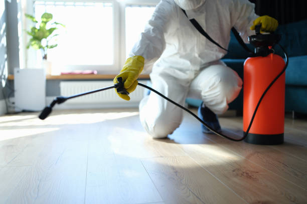 Trusted Sewage Cleanup service in Covington, OH - Four Month Blood Cleanse